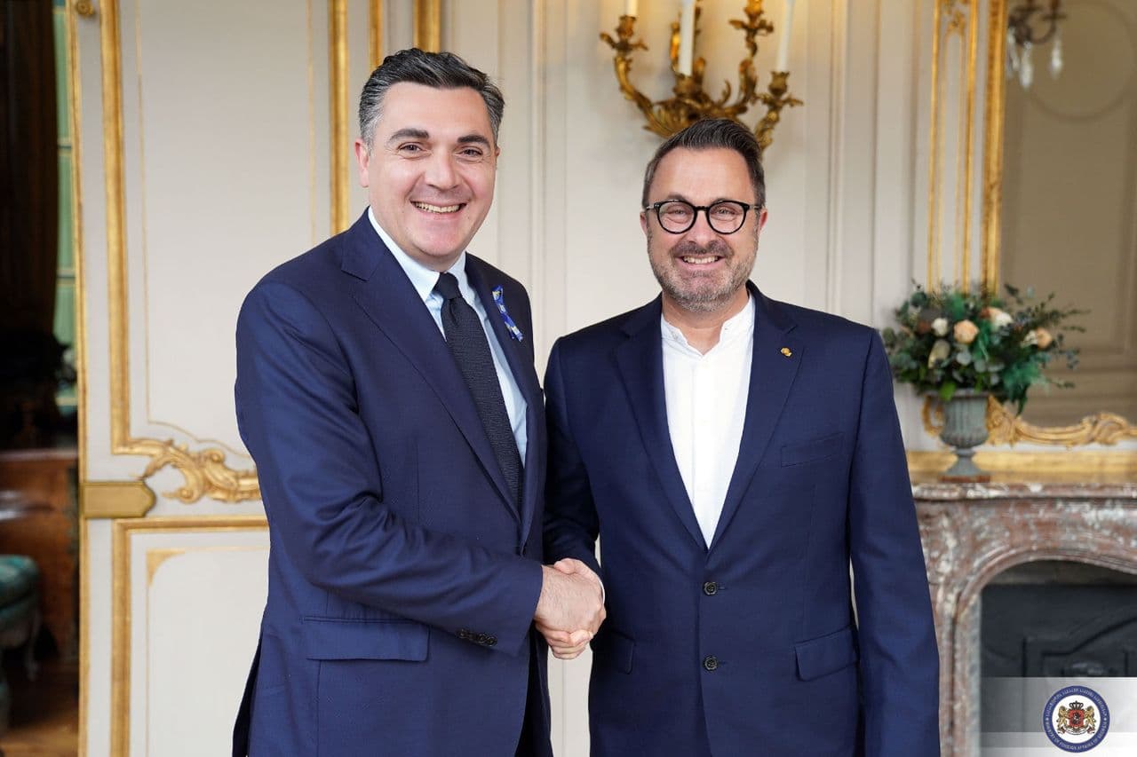 ILIA DARCHIASHVILI HAS MET WITH HIS COLLEAGUE FROM LUXEMBOURG  